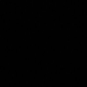 Meet your Posher, Evelyn